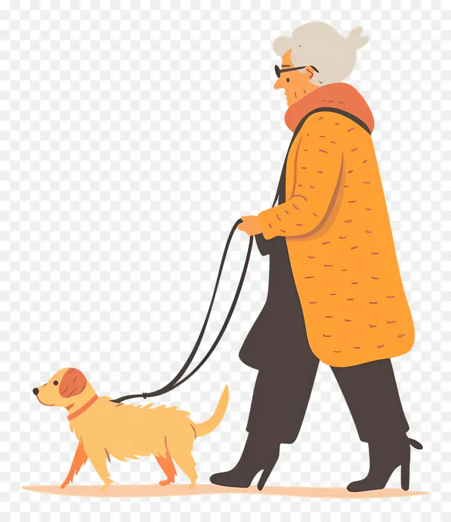 Mulher Idosa Passeando Com Cachorro，Velha PNG