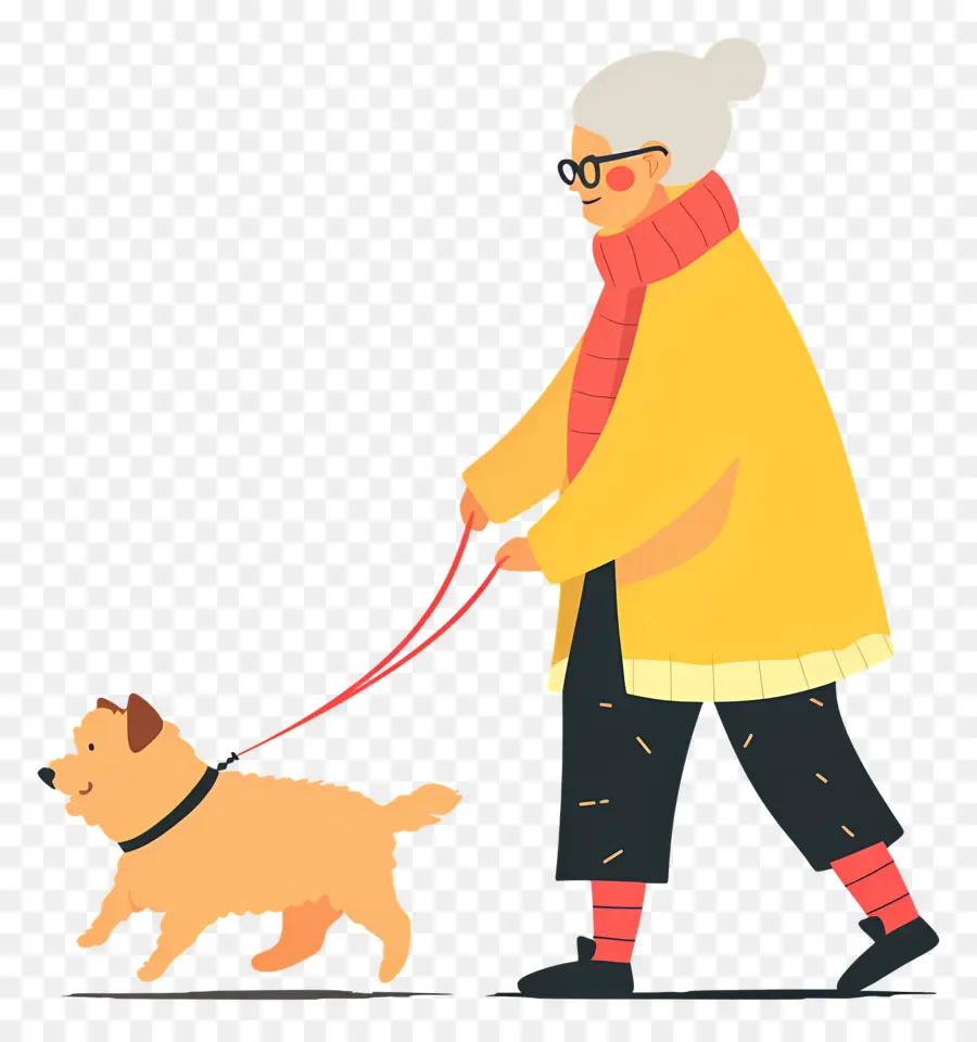 Mulher Idosa Passeando Com Cachorro，Velha PNG