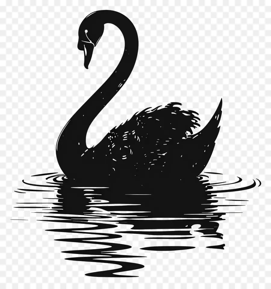 Silhueta De Cisne，Cisne Negro PNG