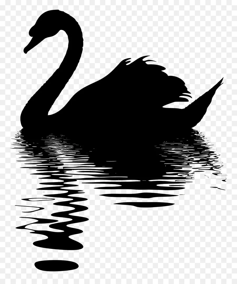 Silhueta De Cisne，Cisne Negro PNG