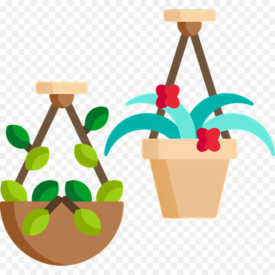 Plantas Penduradas，Potes PNG