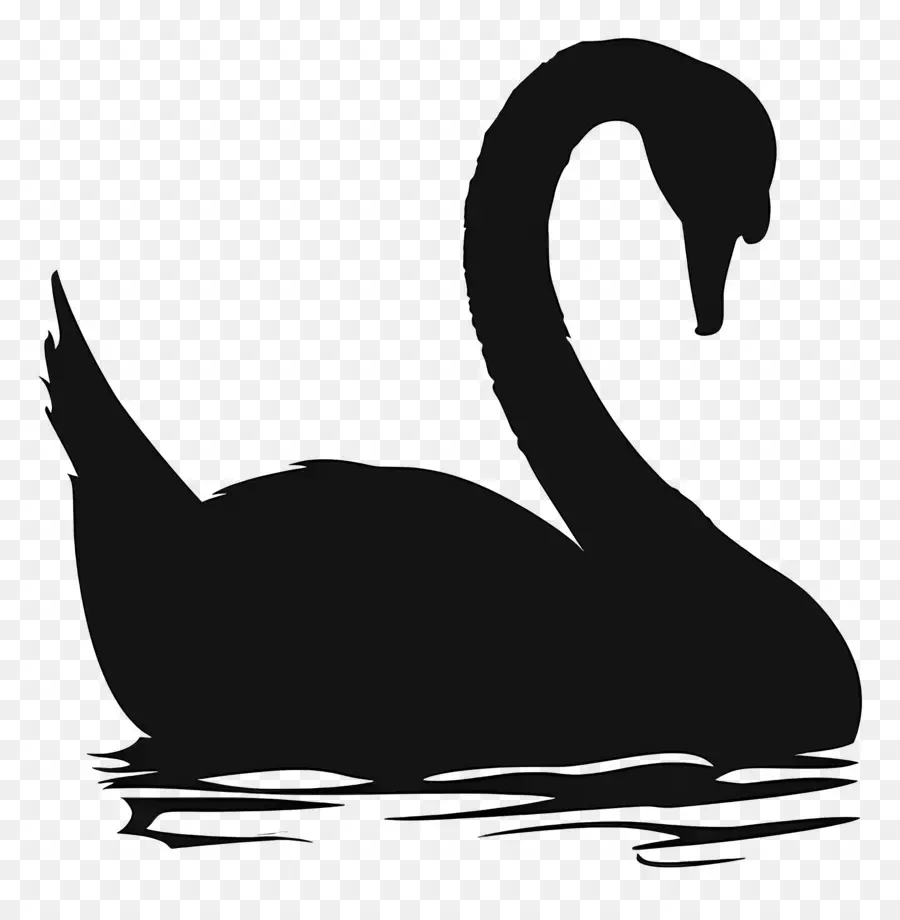 Silhueta De Cisne，Cisne Negro PNG