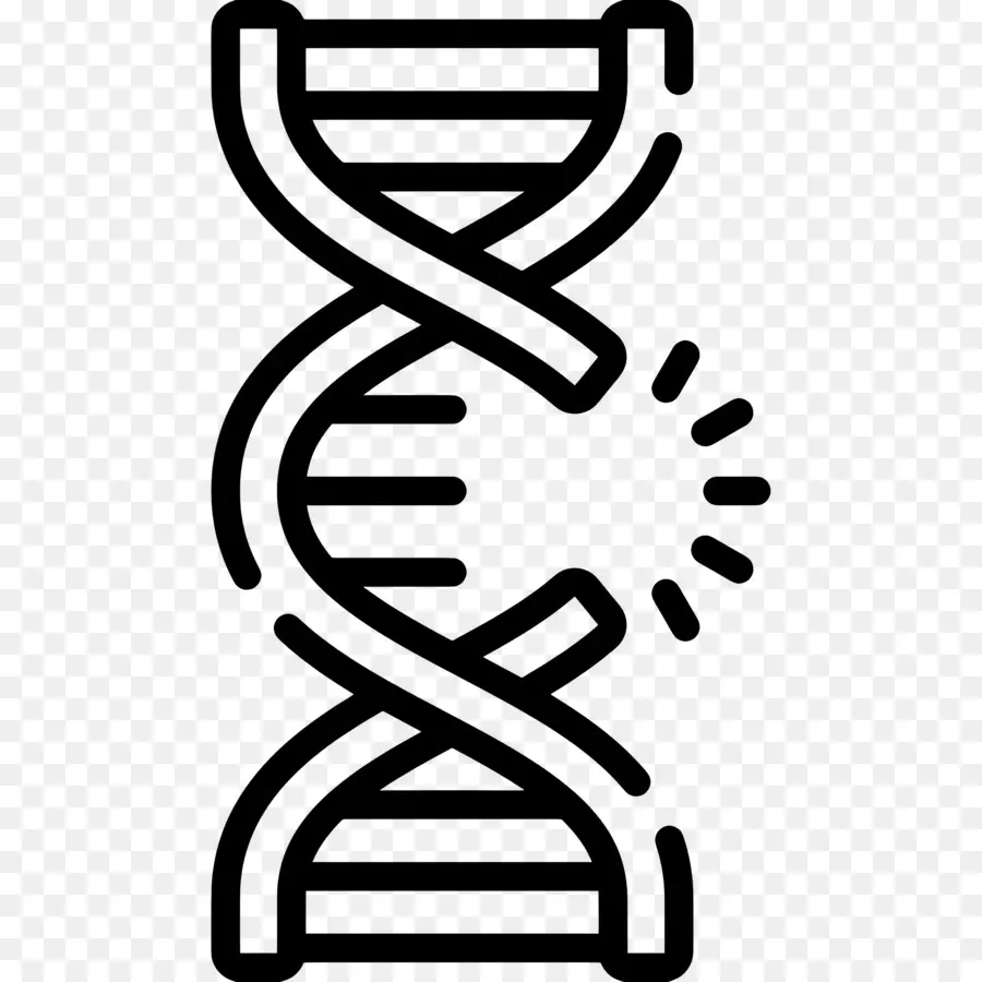 Mutação Do Dna，Hélice De Dna PNG