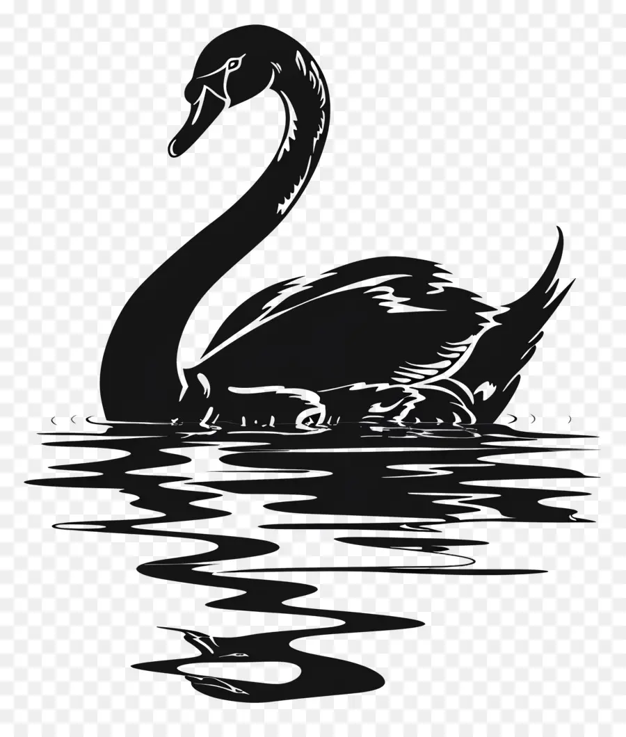 Silhueta De Cisne，Cisne Negro PNG