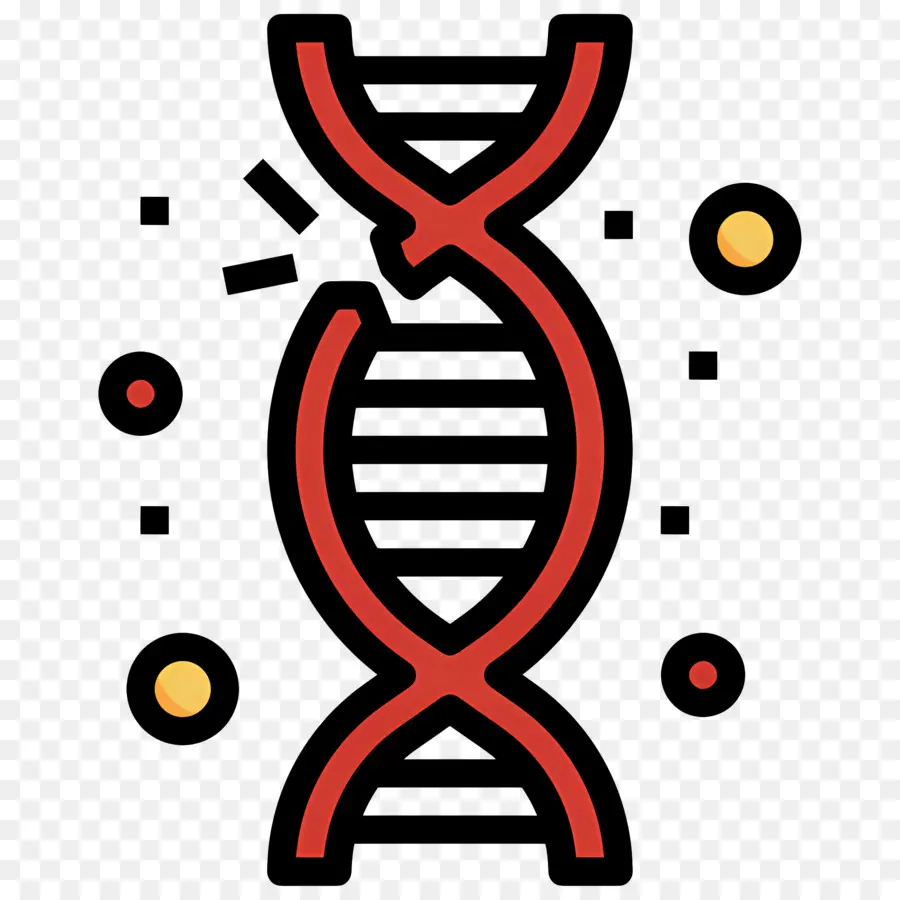 Mutação Do Dna，Adn PNG