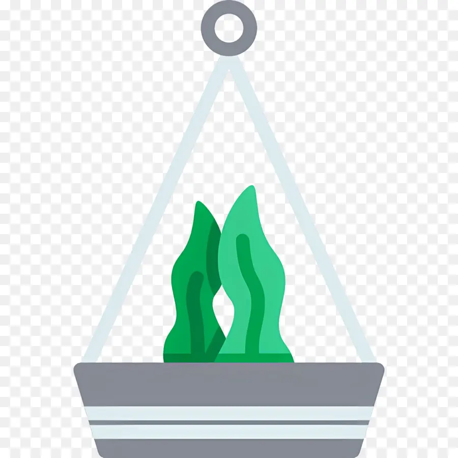 Plantas Penduradas，Planta Suspensa PNG