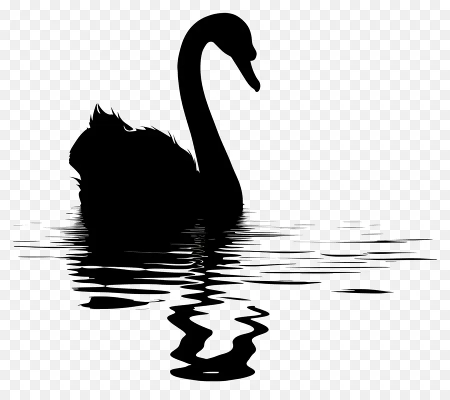 Silhueta De Cisne，Cisne Negro PNG