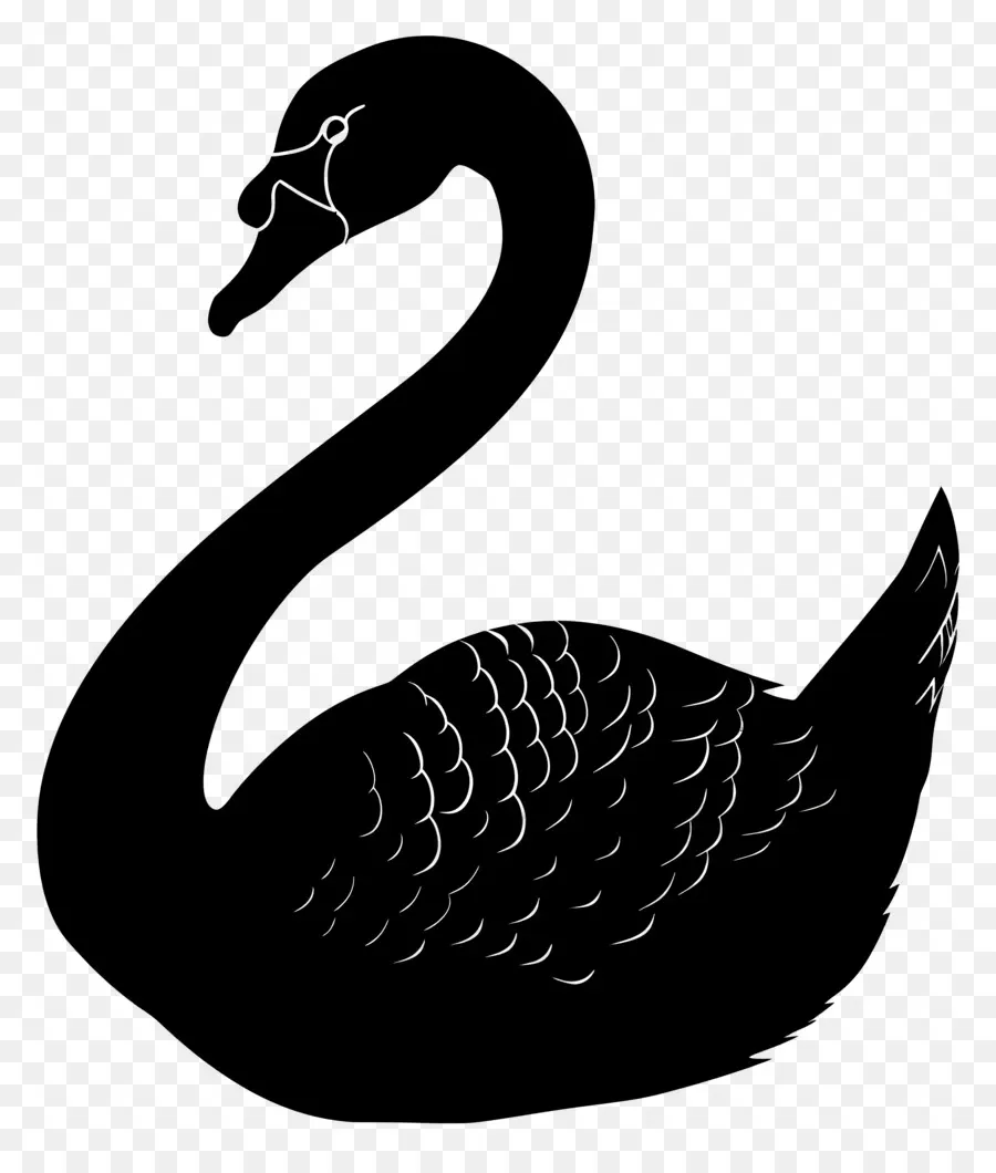 Silhueta De Cisne，Cisne PNG