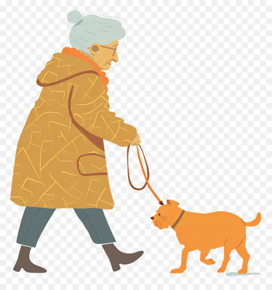 Mulher Idosa Passeando Com Cachorro，Idoso Passeando Com Cachorro PNG