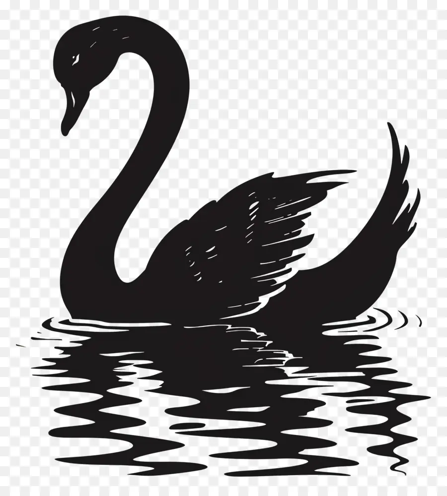 Silhueta De Cisne，Cisne PNG