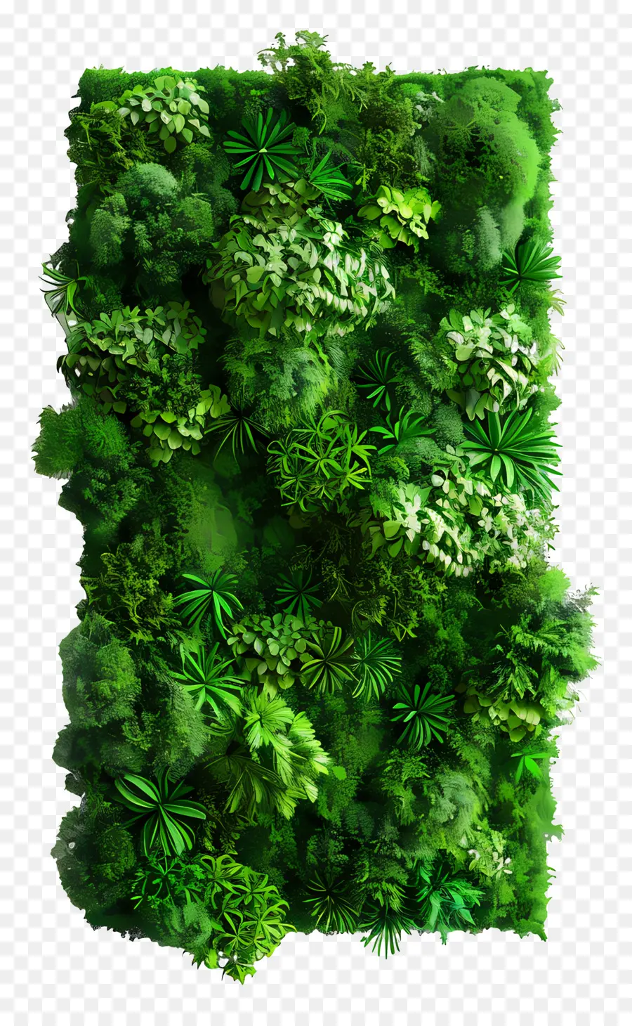 Musgo De Parede，Jardim Vertical Verde PNG