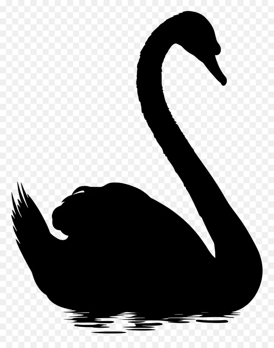 Silhueta De Cisne，Cisne Negro PNG