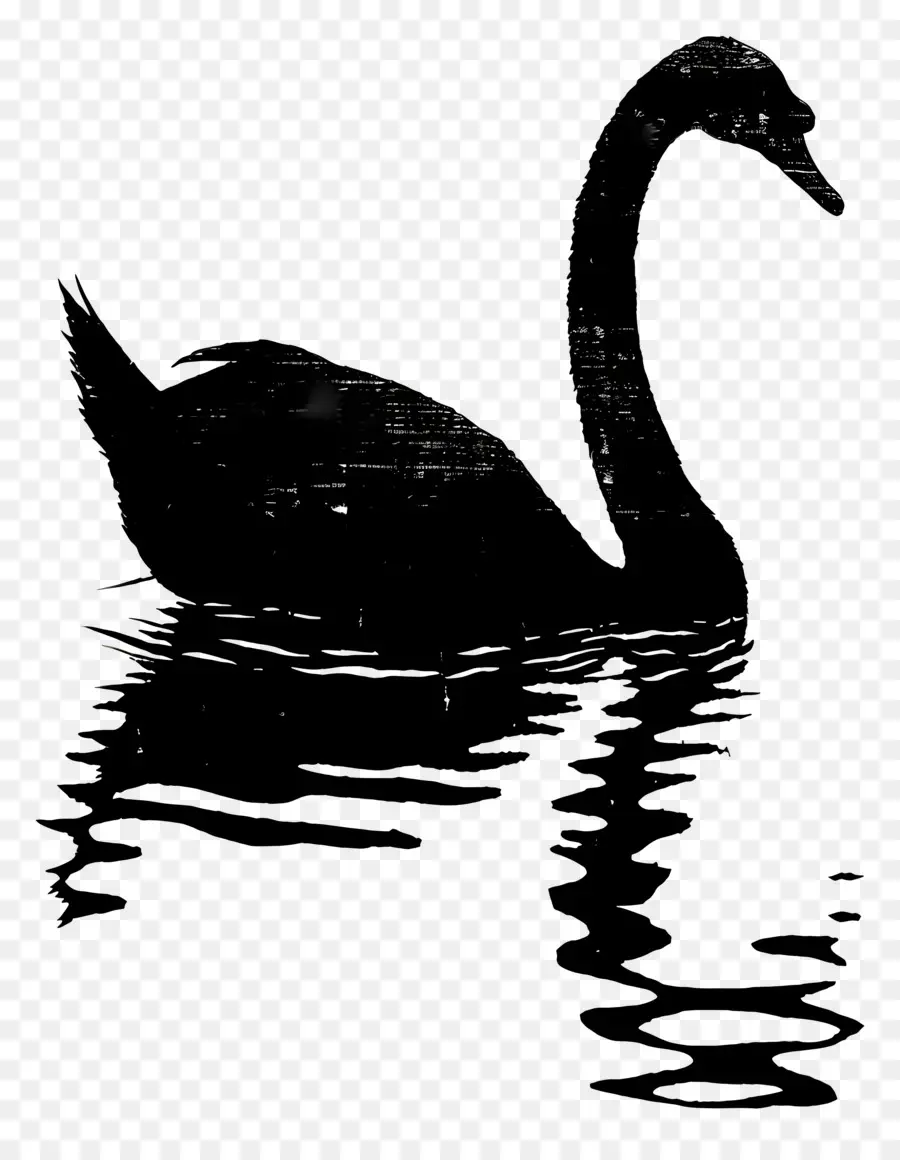 Silhueta De Cisne，Cisne Negro PNG