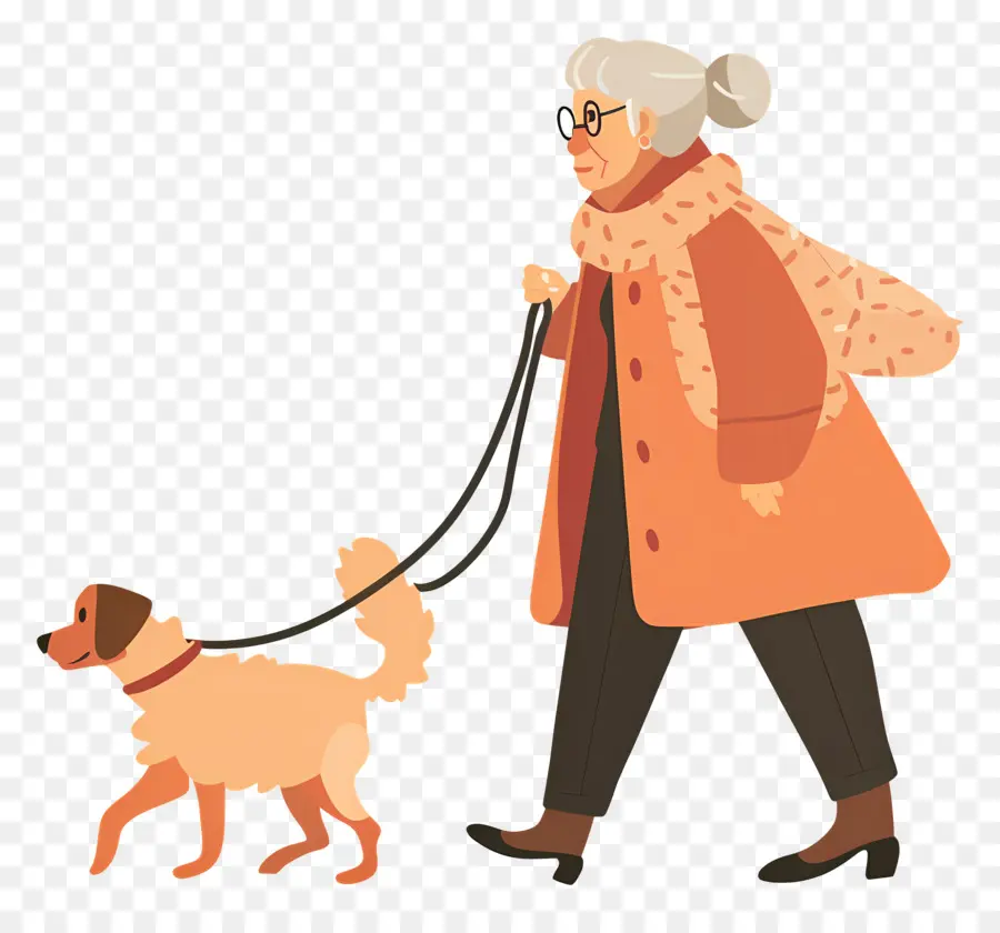 Mulher Idosa Passeando Com Cachorro，Velha PNG