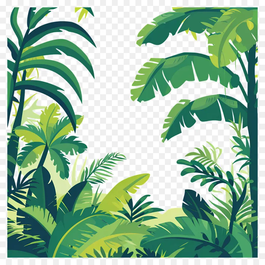 Selva Florestal，Quadro Selva PNG