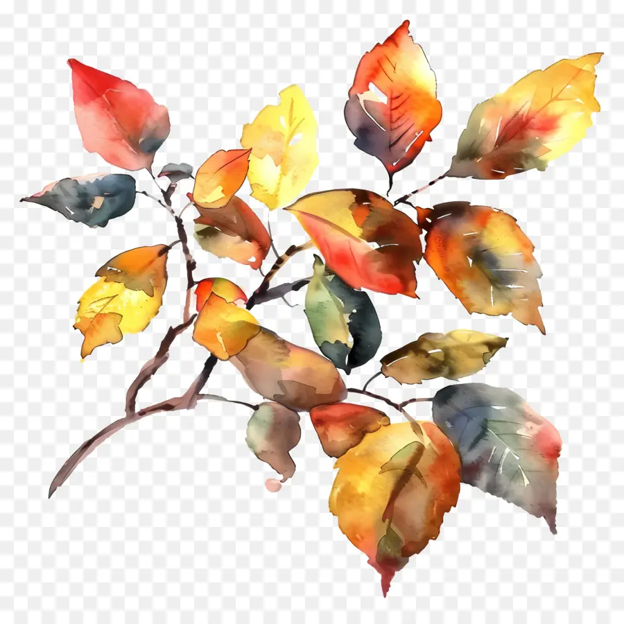 Folhagem Aquarela，Filial PNG