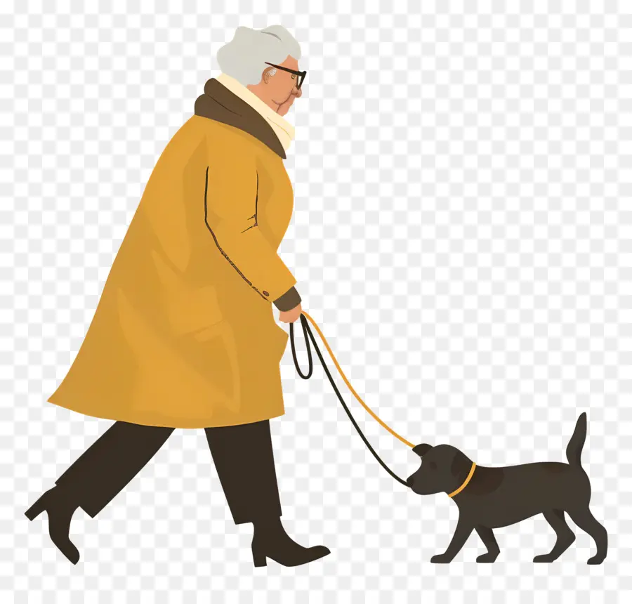 Mulher Idosa Passeando Com Cachorro，Pessoa Passeando Com Cachorro PNG