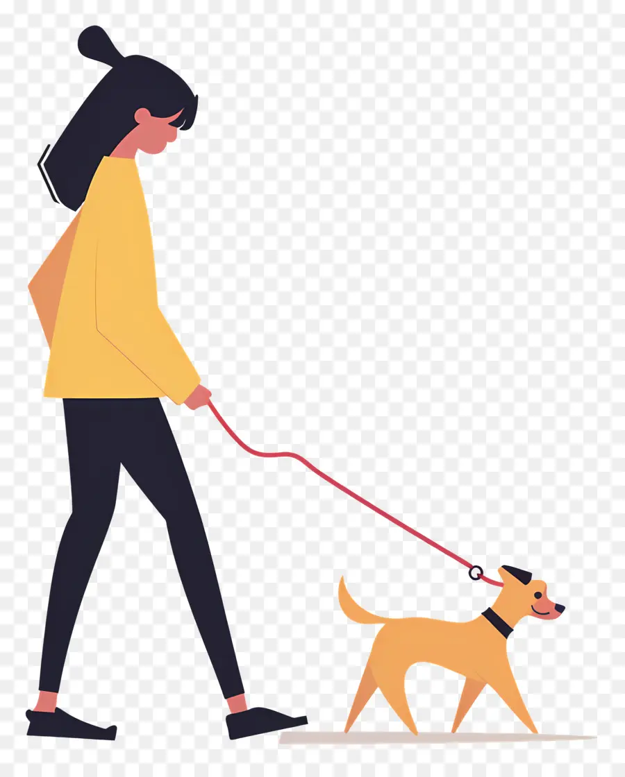 Mulher Passeando Com Cachorro，Menina Passeando Com Cachorro PNG