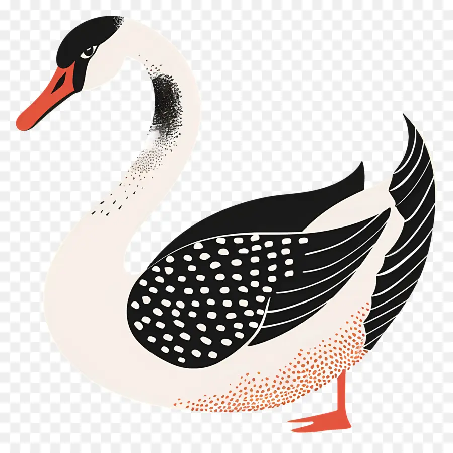 Cisne Branco，Cisne PNG