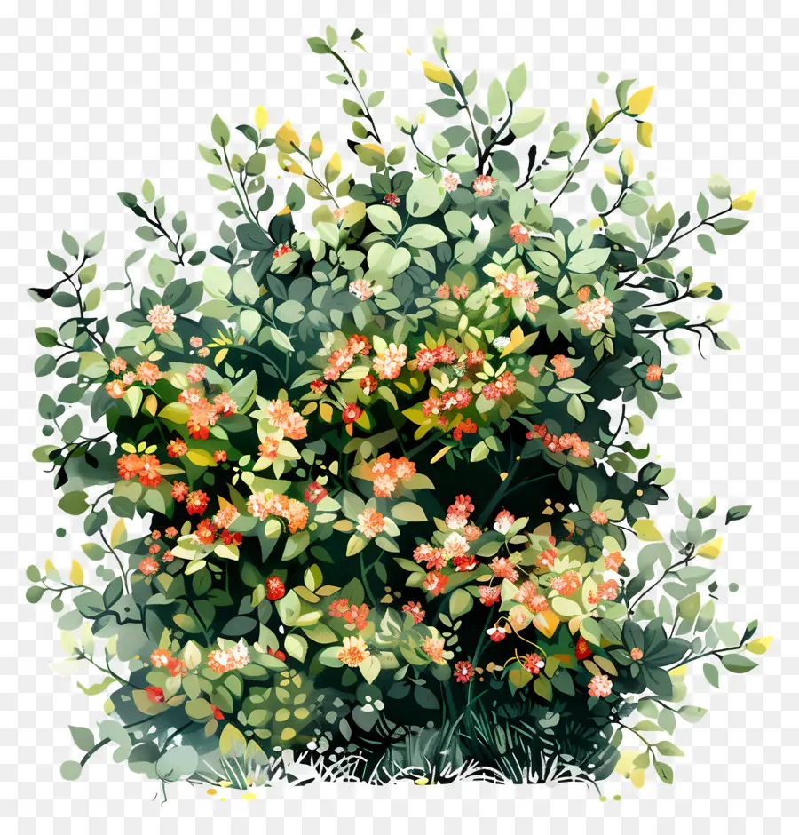 Arbusto Com Flores，Arbusto PNG