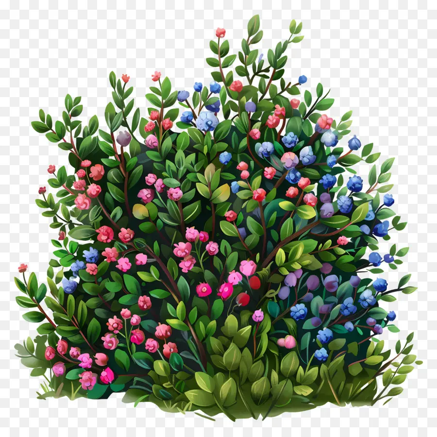 Arbusto Com Flores，Arbusto Colorido PNG