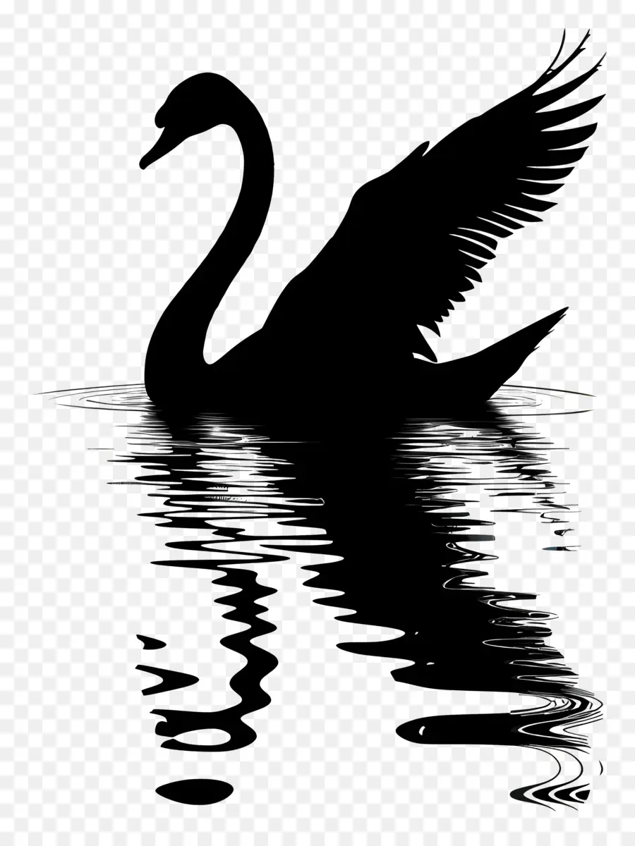 Silhueta De Cisne，Cisne Negro PNG