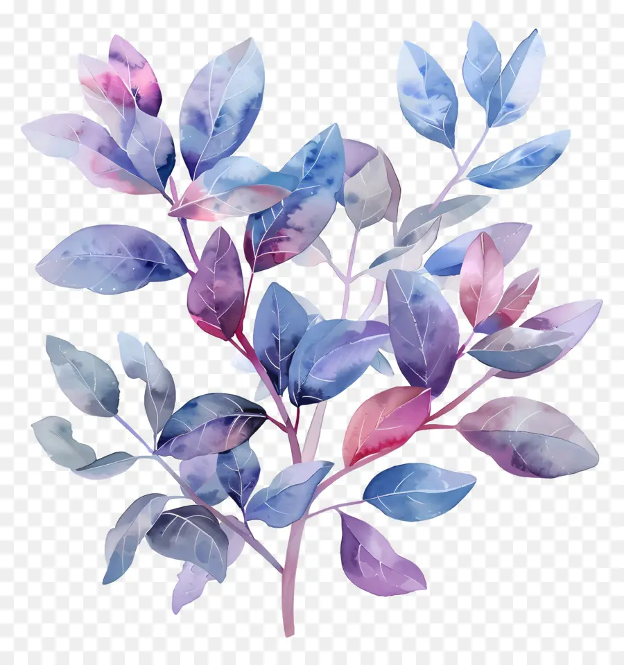 Folhagem Aquarela，Folhas Aquarela PNG