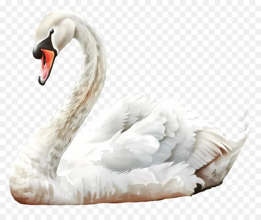 Cisne Branco，Pássaro PNG