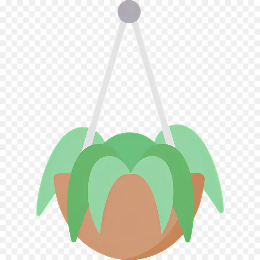 Plantas Penduradas，Planta Suspensa PNG