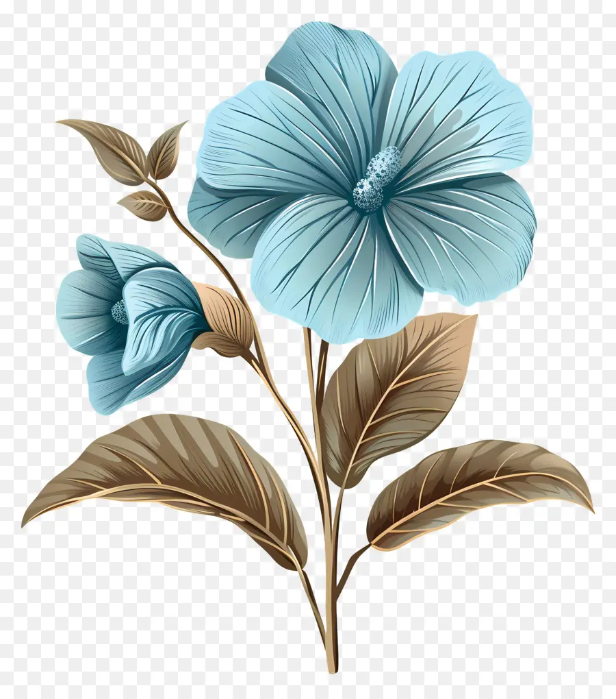 Flor Azul，Florescer PNG