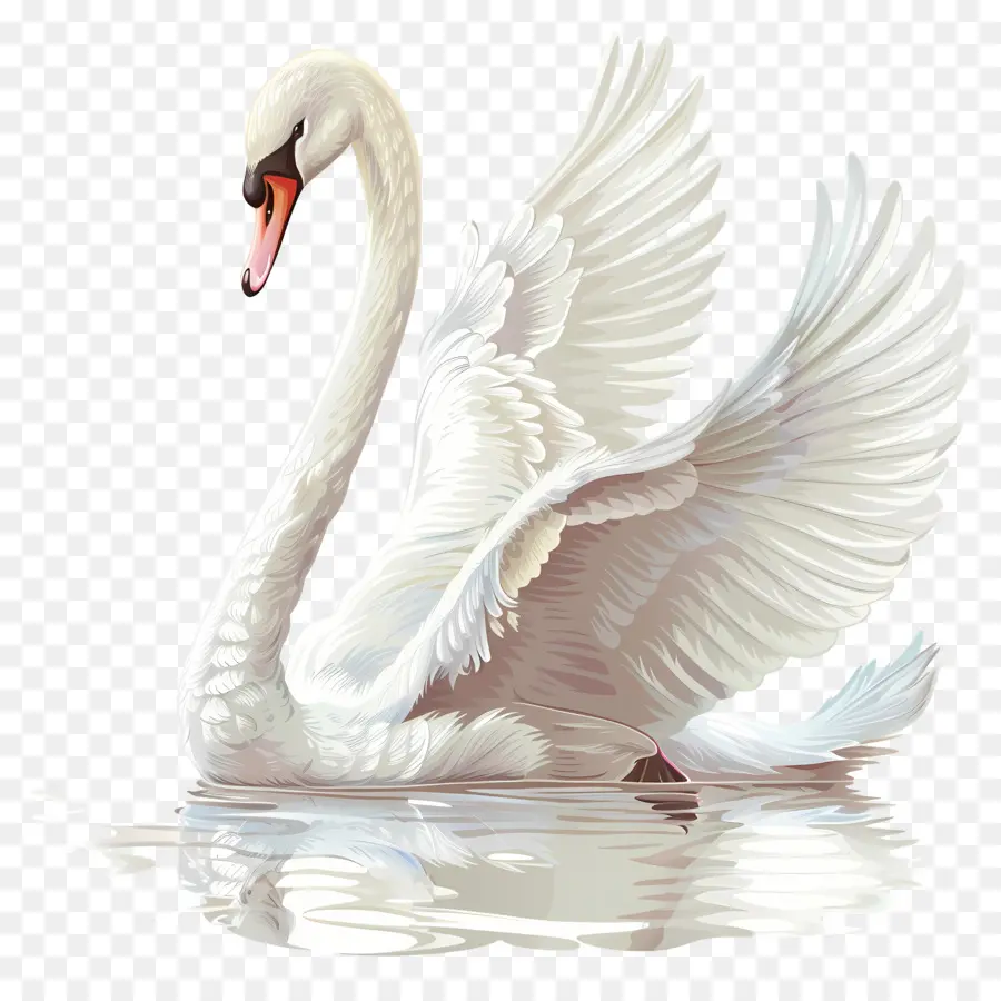 Cisne Branco，Pássaro PNG