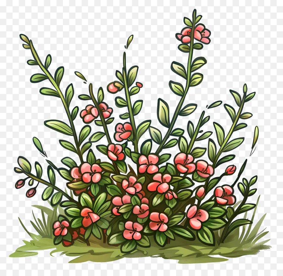 Arbusto Com Flores，Arbusto De Flores PNG