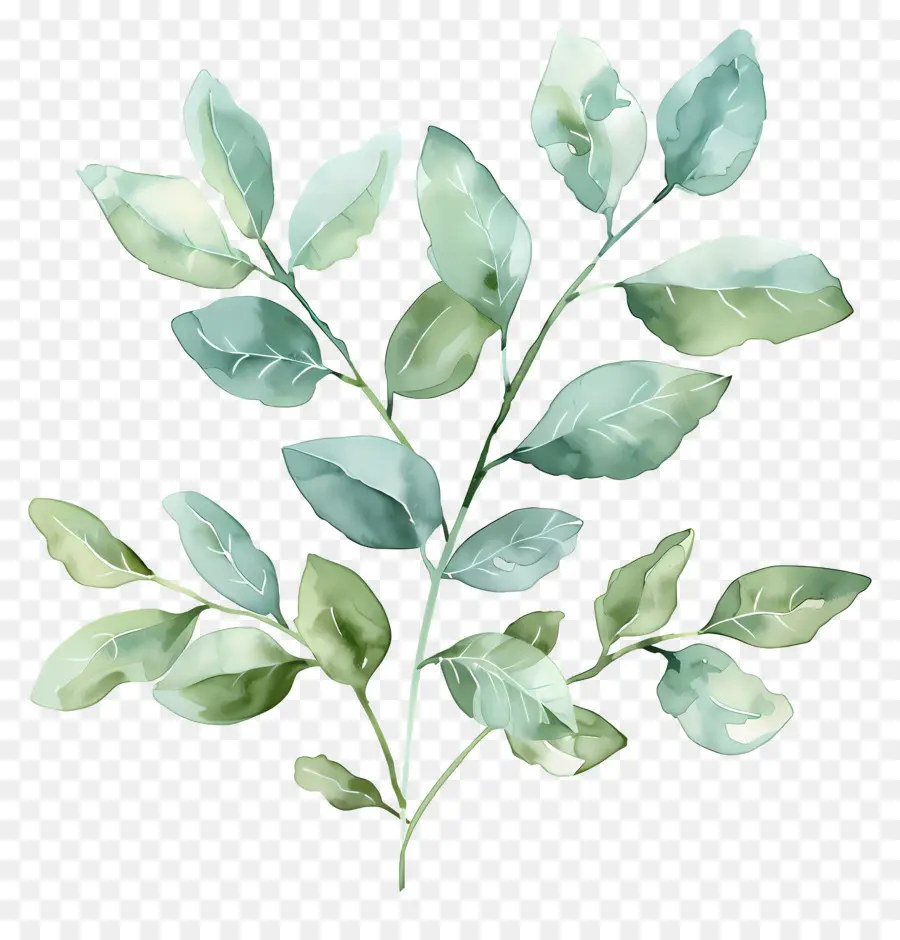 Folhagem Aquarela，Folhas Verdes PNG