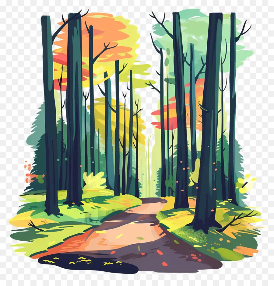 Caminho Da Floresta，Floresta Colorida PNG