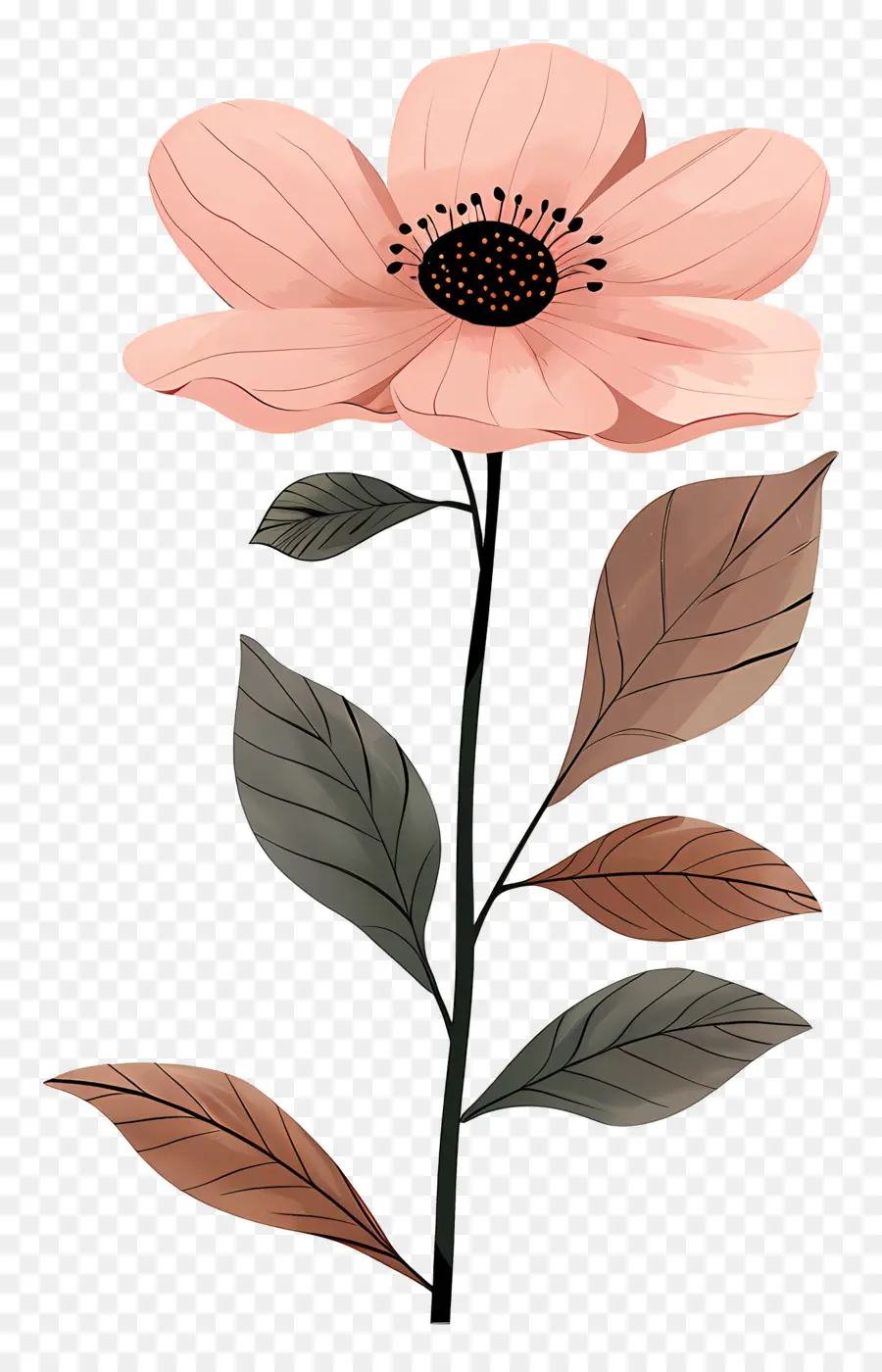 Flor Rosa，Flor Vermelha PNG