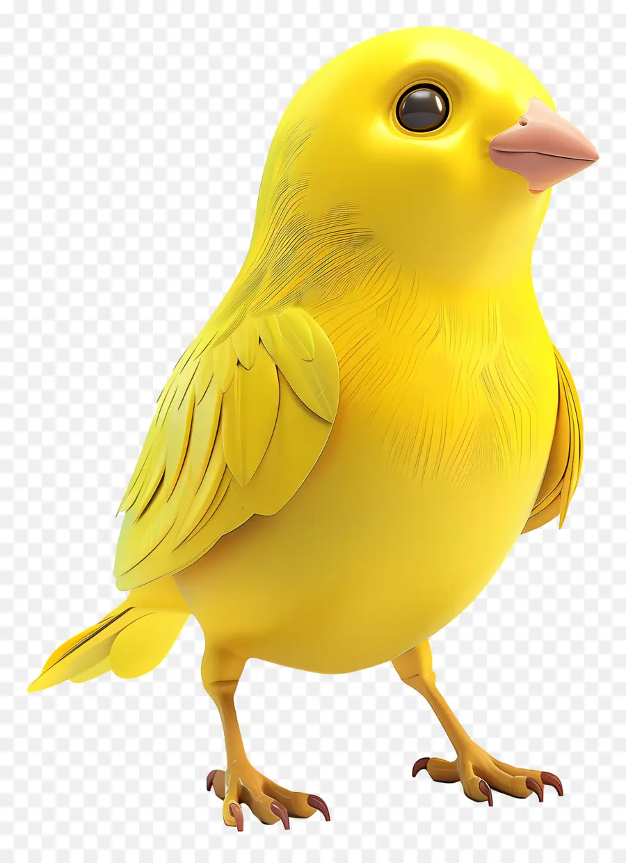 Pássaro Amarelo，Pássaro PNG