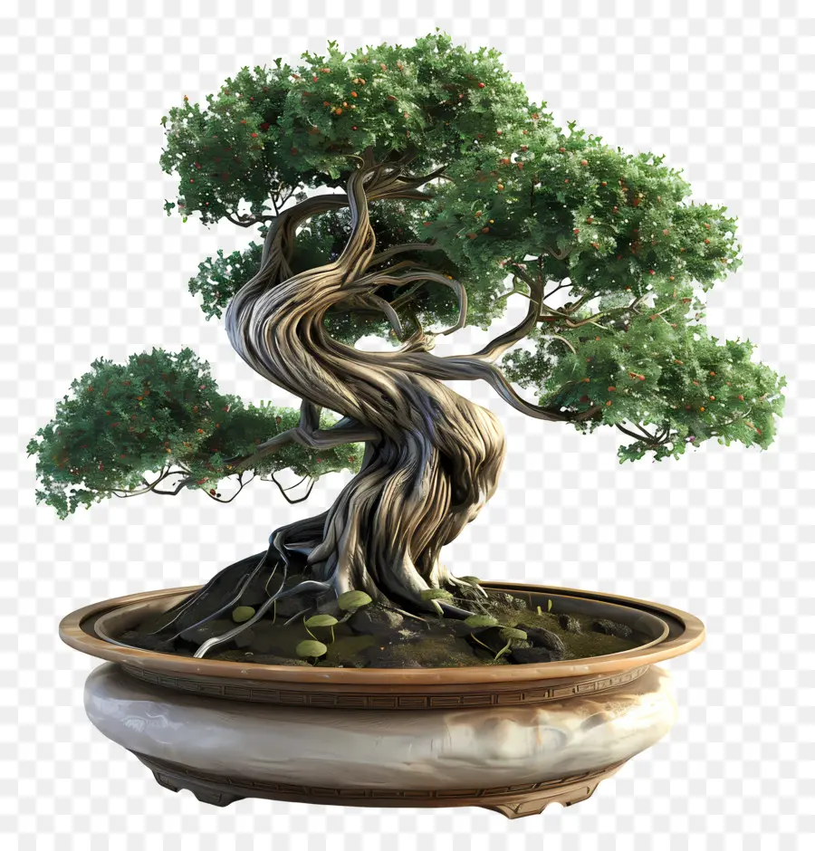 Pohon Bonsai，Árvore Bonsai PNG