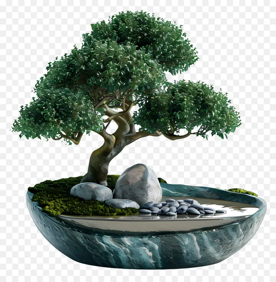 Ficus Bonsai，Árvore Bonsai PNG