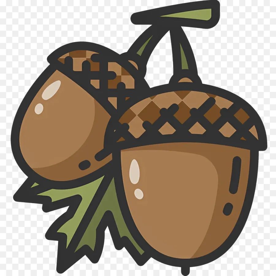 Bolotas，Carvalho PNG