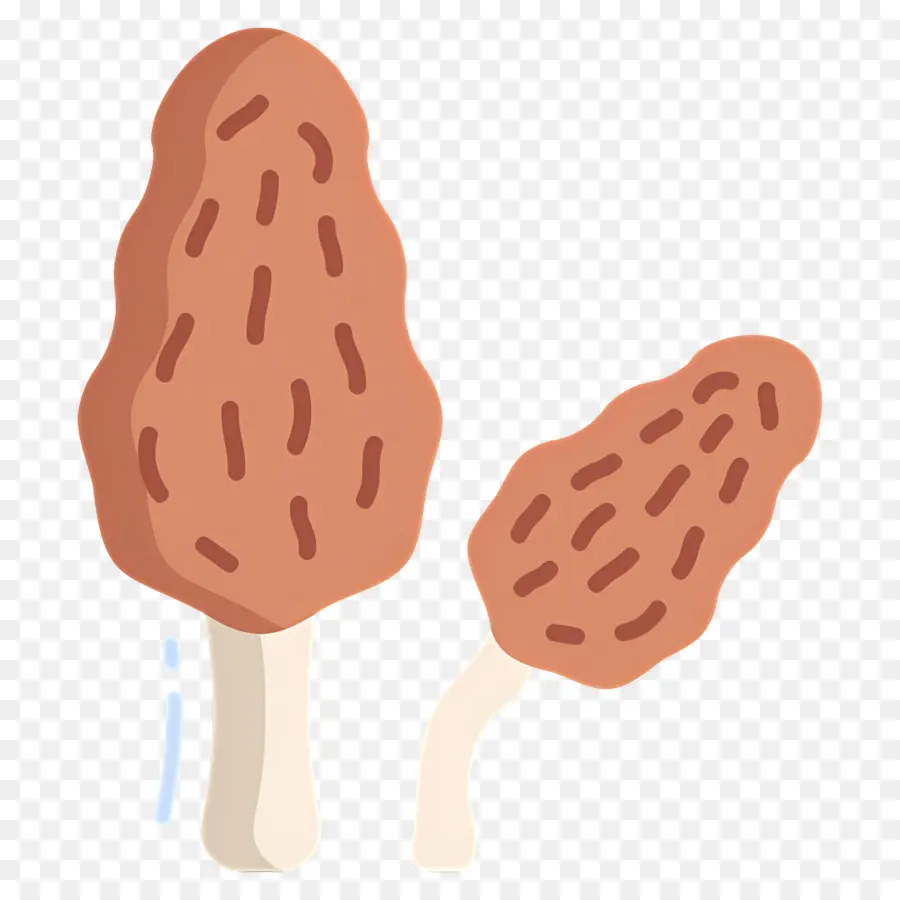 Cogumelo，Cogumelos Morel PNG