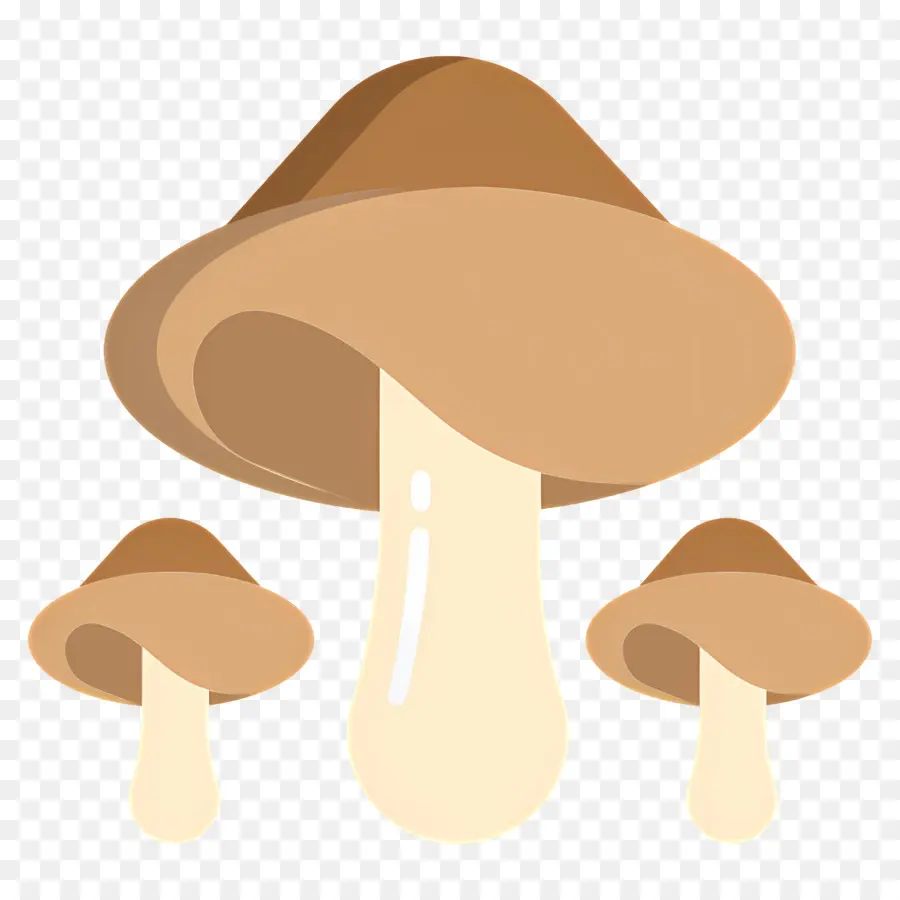 Cogumelo，Cogumelos PNG