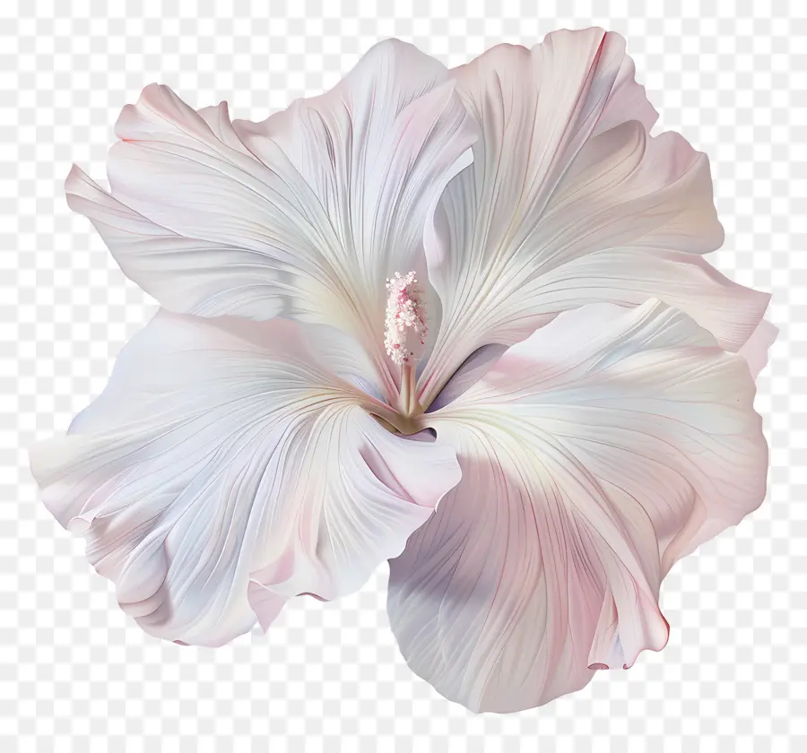 Flor Pastel，Flor Rosa PNG