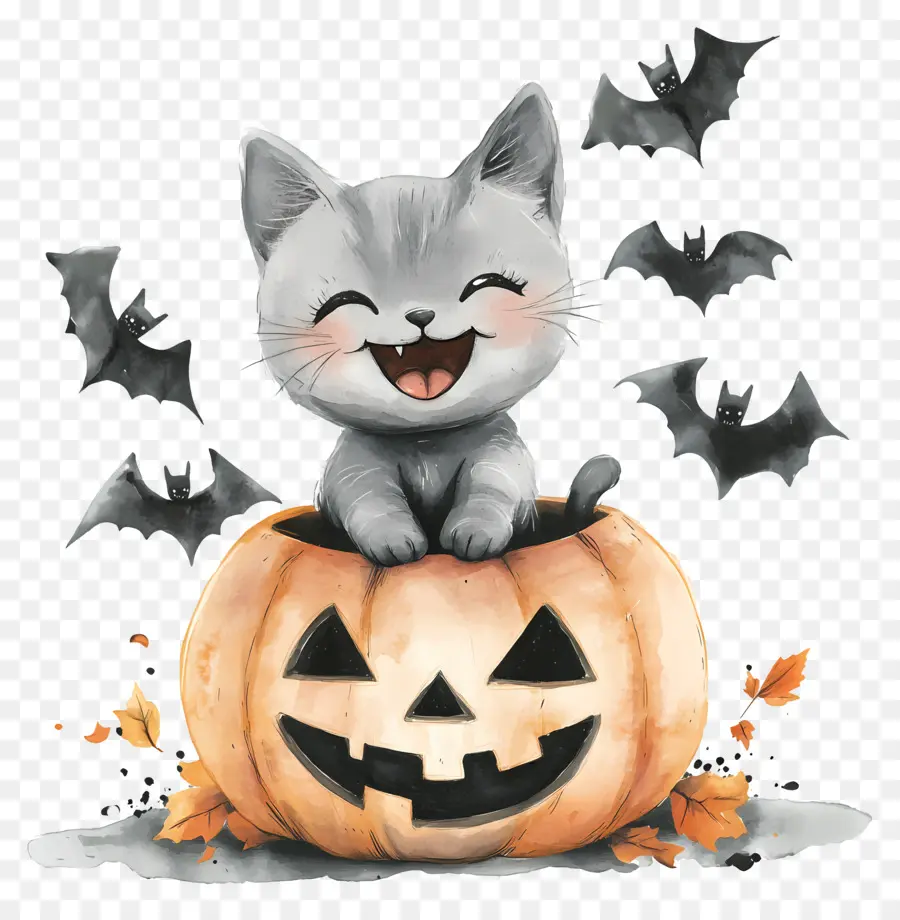 Gato De Halloween，Gato Em Abóbora PNG