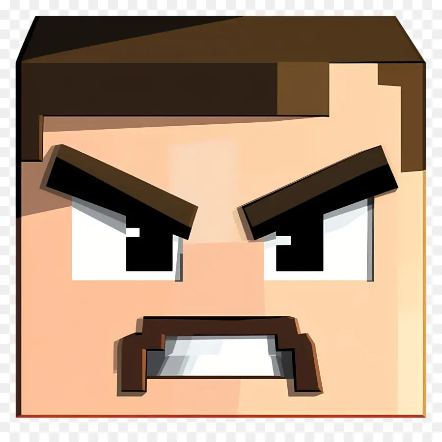 Minecraft，Cara Irritada PNG