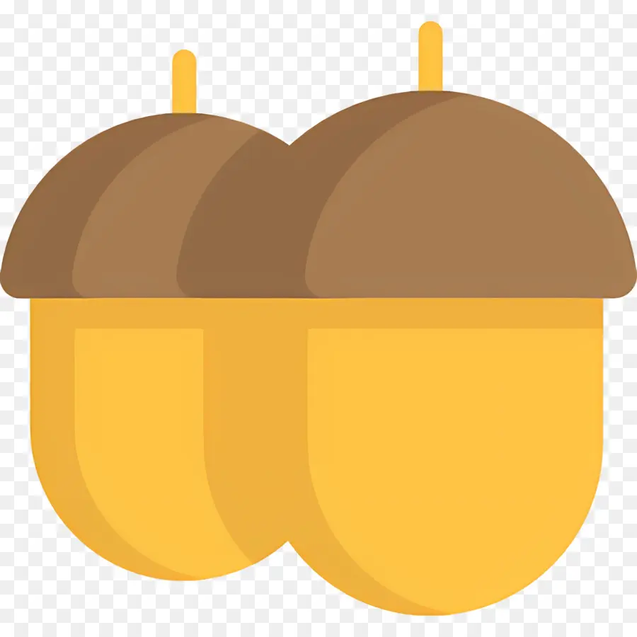 Bolotas，Carvalho PNG