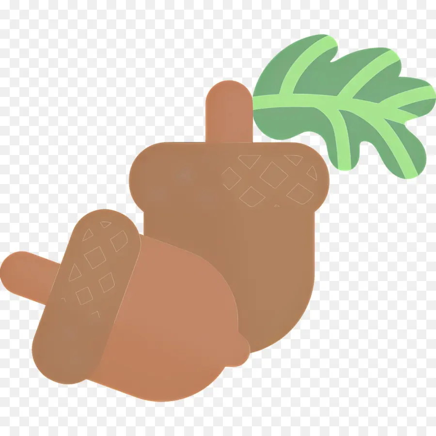 Bolotas，Carvalho PNG