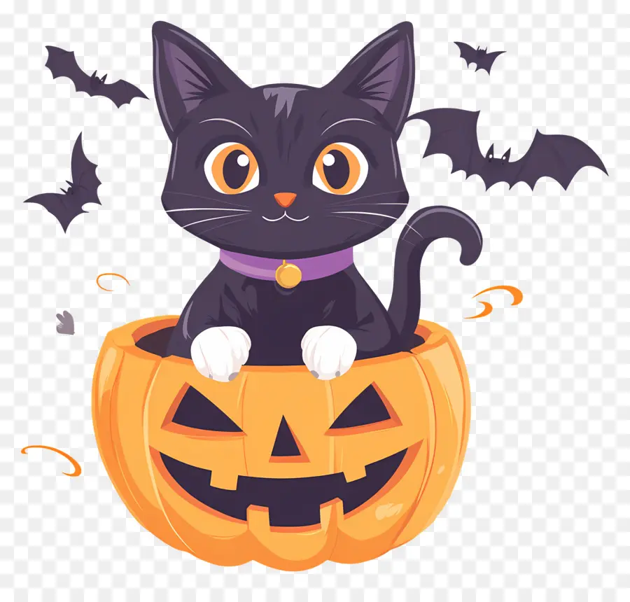 Gato Preto De Halloween，Gato Preto Com Abóboras PNG