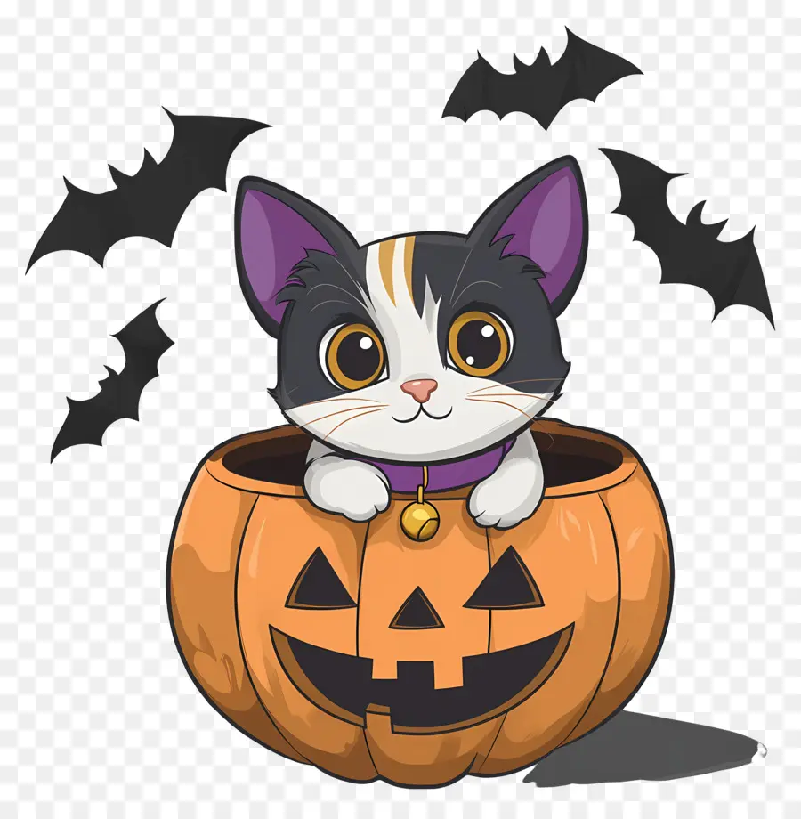 Gato De Halloween，Gato Em Abóbora PNG