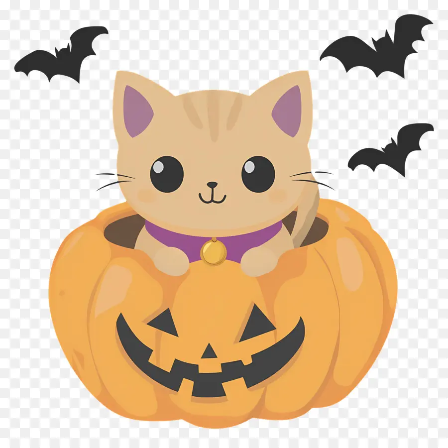 Gato De Halloween，Gato Em Abóbora PNG