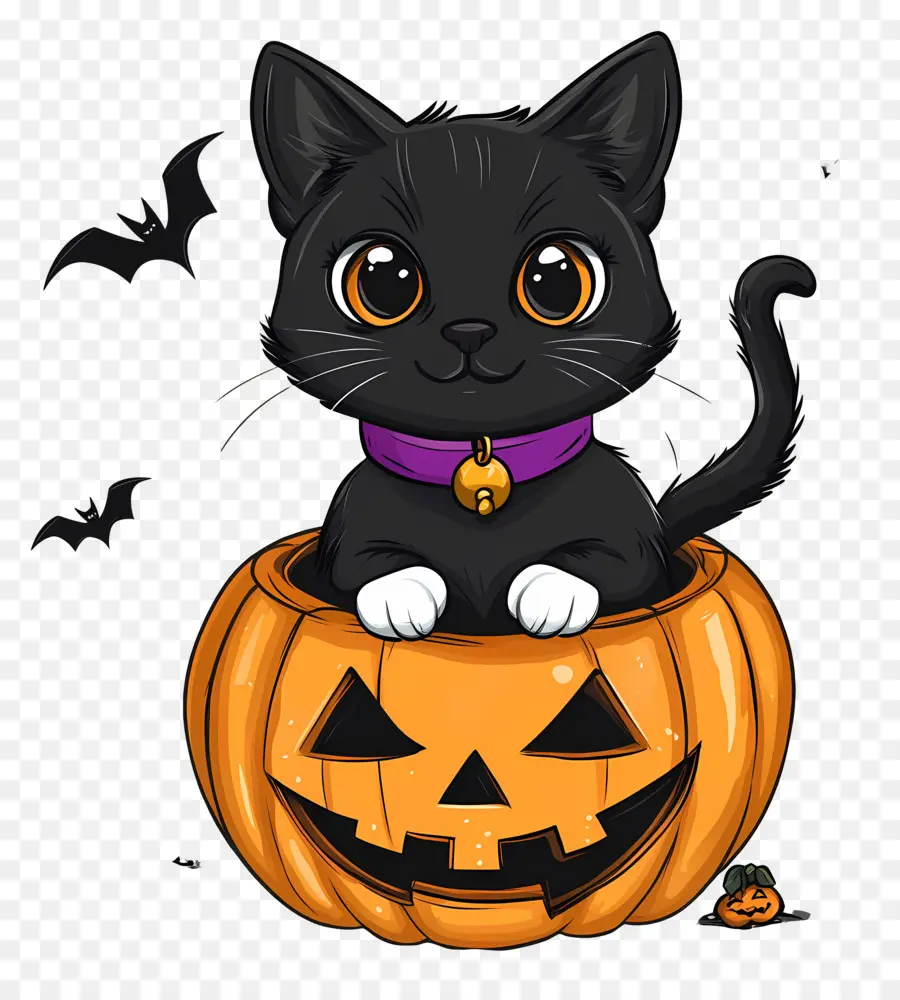 Gato Preto De Halloween，Gato Em Abóbora PNG